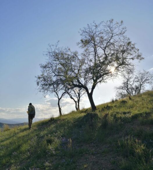 DORETDELUMIERE23OIIO217_121305_973